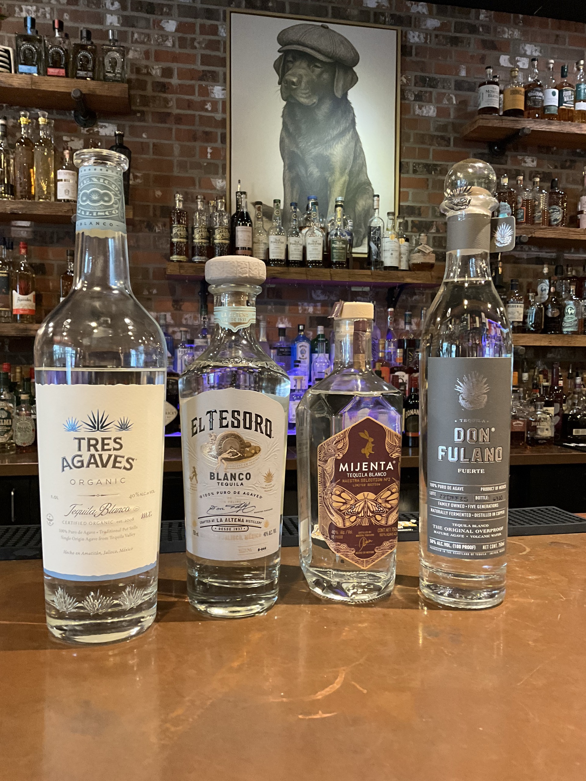 Four tequilas arranged for a guided terroir tasting